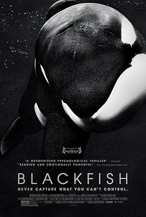 Blackfish (2013) poster