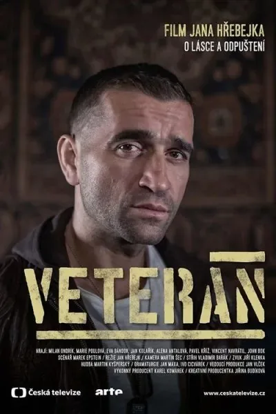 Veteran (2015) - Drama Movie Poster
