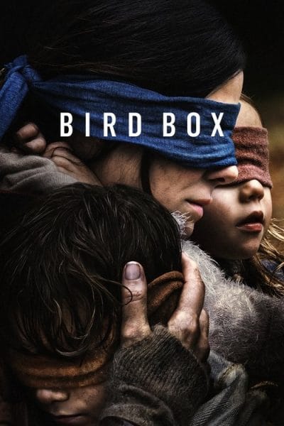 Bird Box (2018) (2018) - Netflix Horror Movies Movie Poster