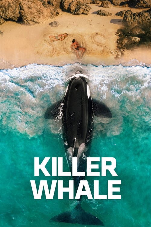 Killer Whale (2026) - Killer Whale