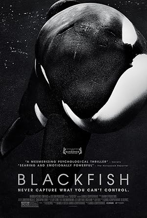 Blackfish (2013) poster