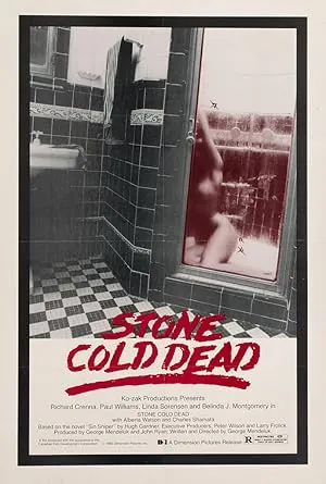 Stone Cold Dead (1979) poster
