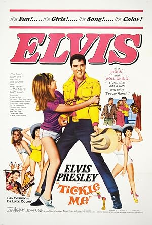 Tickle Me (1965) poster