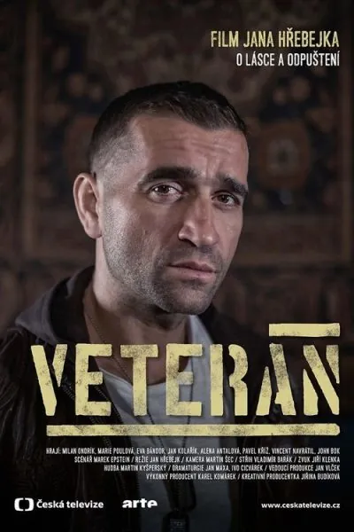 Veteran (2015) - Drama Movie Poster