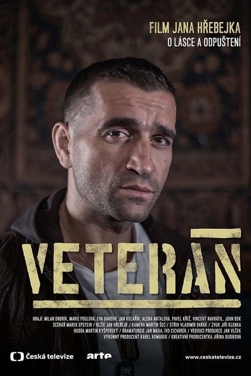 Veteran movie poster