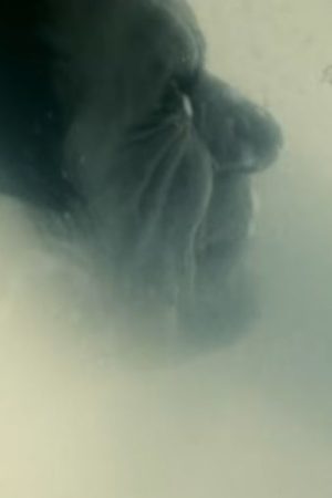 Timecrimes (2007) Full Review