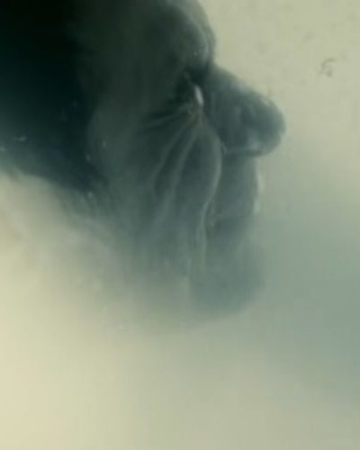 Timecrimes (2007) Full Review