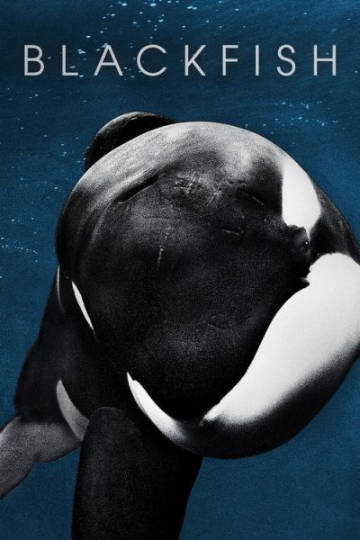 Blackfish (2013) (2013) - Documentary Movie Poster