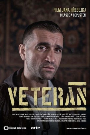 Veteran (2015) - Official Movie Poster